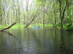 IMG 4680